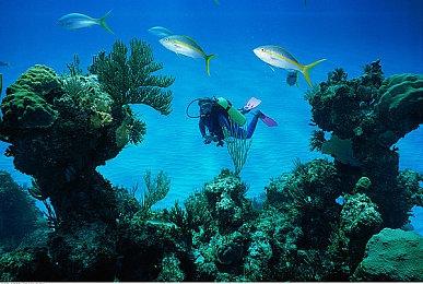 《死亡搁浅2》新旧预告对比 玩家担心没中配会被喷